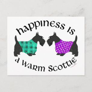 Scottish Terrier Happiness Postkarte