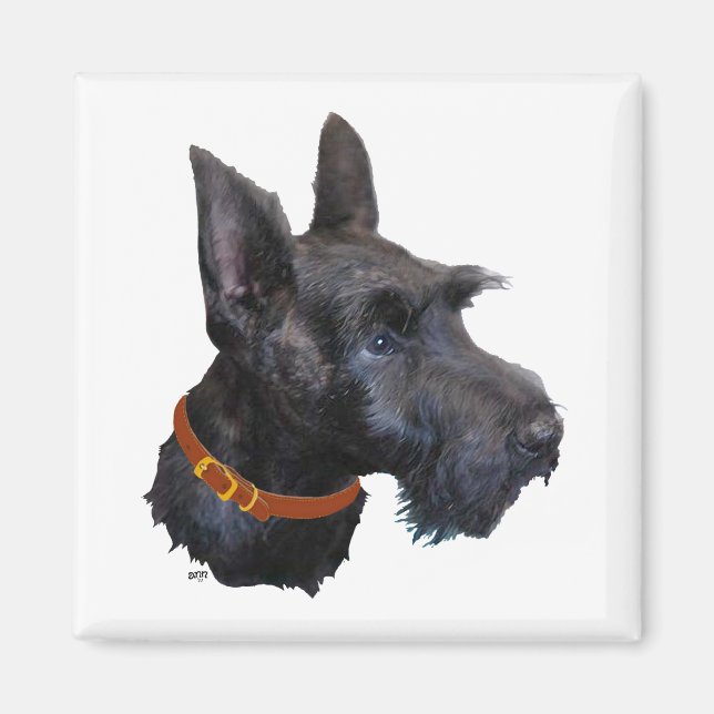 Scottish Terrier Head Study Magnet (Vorne)