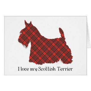 Scottish Terrier Hepburn Tartan