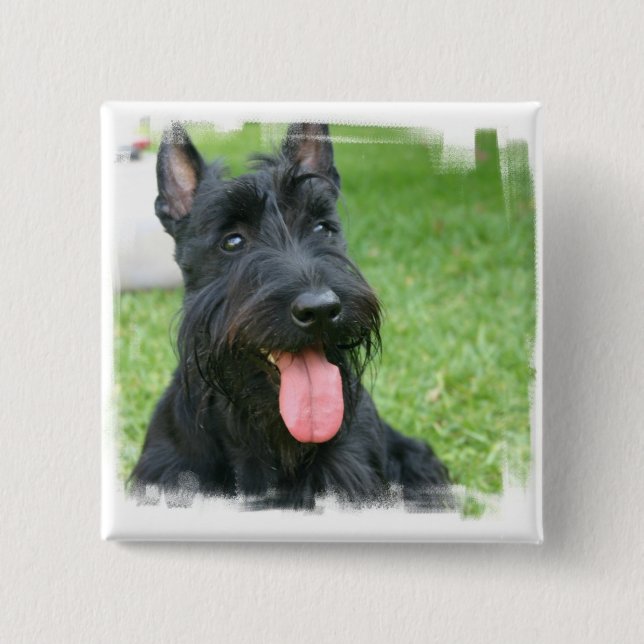 Scottish-Terrier-Hundeknopf Button (Vorderseite)