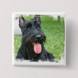 Scottish-Terrier-Hundeknopf Button