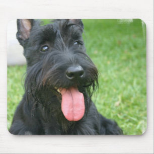 Scottish-Terrier-Hundemausunterlage Mousepad