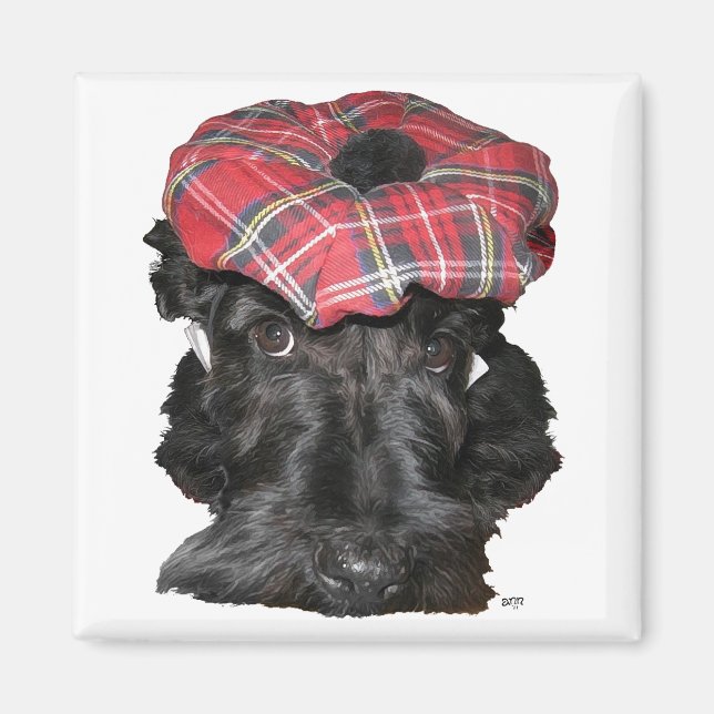 Scottish Terrier in a Tam-o-Shanter Magnet (Vorne)