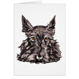 Scottish Terrier in Black