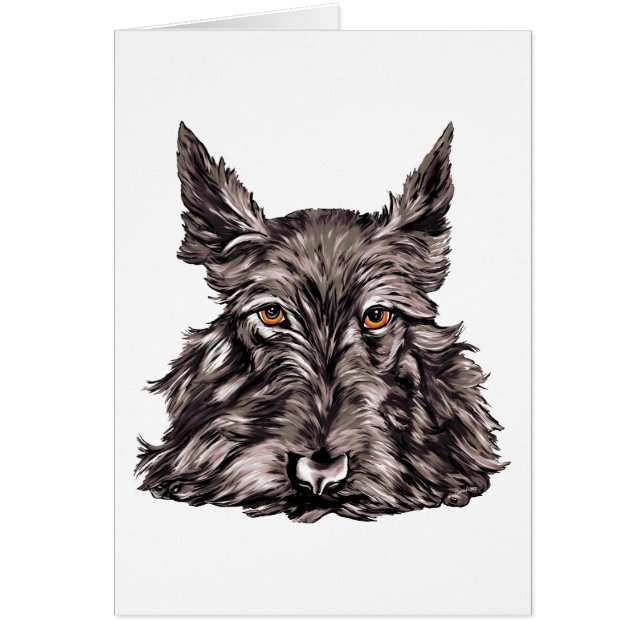 Scottish Terrier in Black (Vorne)
