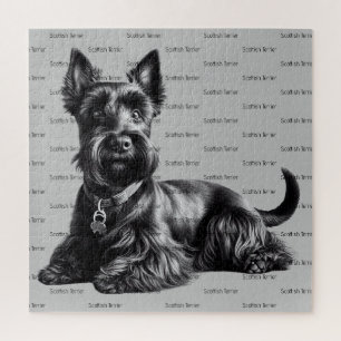 Scottish Terrier in Puzzle