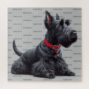 Scottish Terrier in Puzzle
