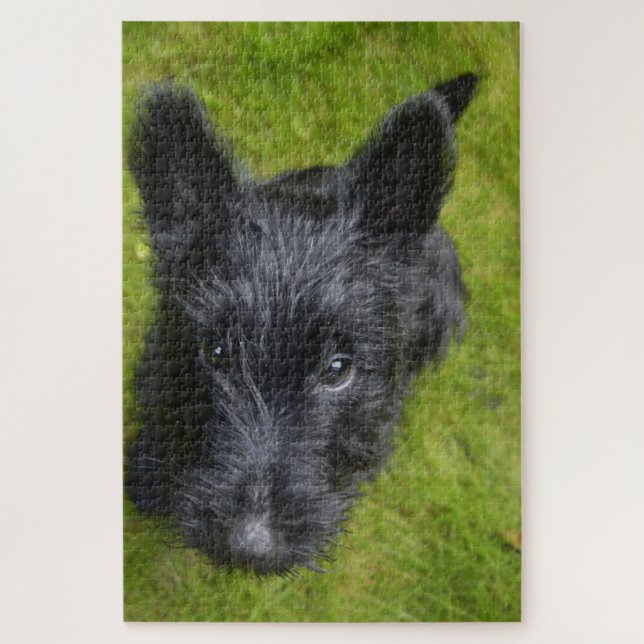 Scottish Terrier Jigsaws. Puzzle (Vertikal)