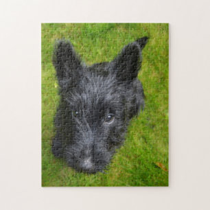 Scottish Terrier Jigsaws. Puzzle
