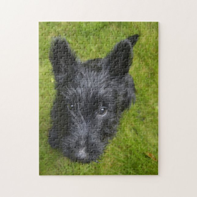 Scottish Terrier Jigsaws. Puzzle (Vertikal)