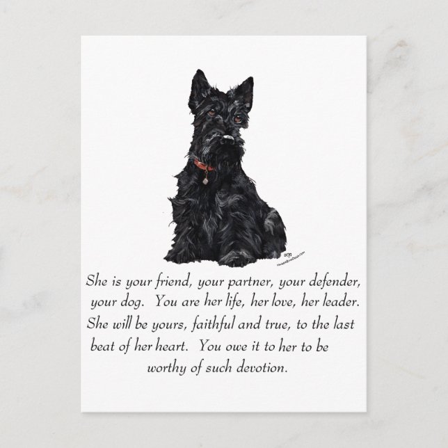 Scottish Terrier Keepake — FEMALE Postkarte (Vorderseite)