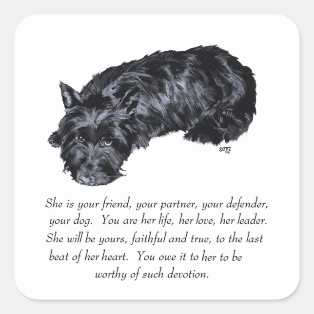 Scottish Terrier Keepake — FEMALE Quadratischer Aufkleber (Vorderseite)