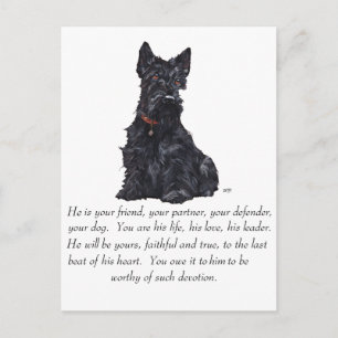 Scottish Terrier Keepake - MALE Dog Postkarte