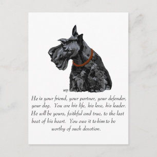 Scottish Terrier Keepake - MALE Dog Postkarte