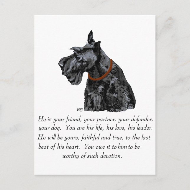 Scottish Terrier Keepake - MALE Dog Postkarte (Vorderseite)