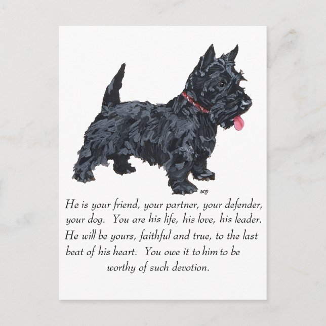 Scottish Terrier Keepake - MALE Dog Postkarte (Vorderseite)