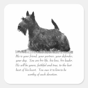 Scottish Terrier Keepake - MALE Dog Quadratischer Aufkleber