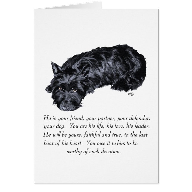 Scottish Terrier Keepsakes - MALE (Vorne)
