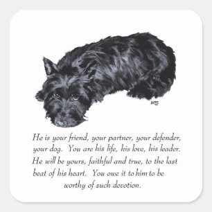 Scottish Terrier Keepsakes - MALE Quadratischer Aufkleber