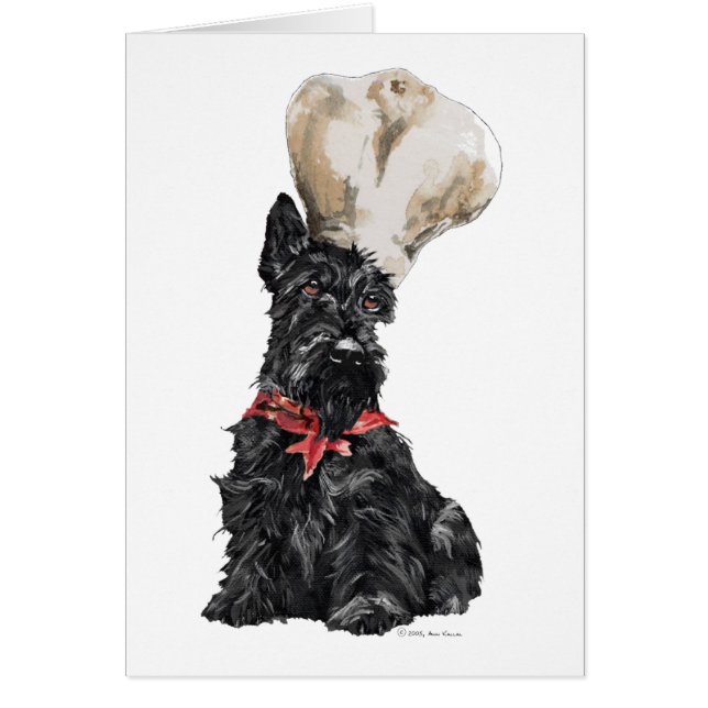 Scottish Terrier Koch (Vorne)