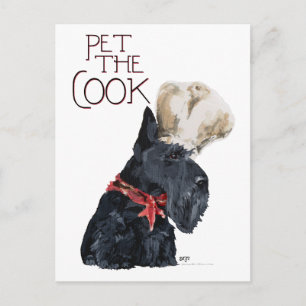 Scottish Terrier Koch Postkarte