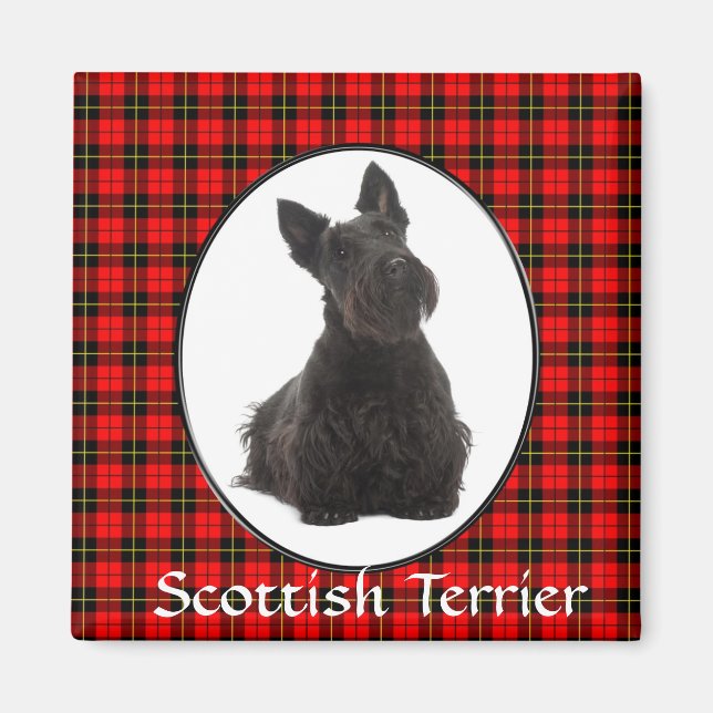 Scottish Terrier Magnet (Vorne)