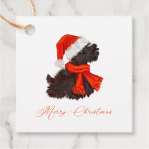 Scottish Terrier mit Weihnachtsmannmütze & Scarf