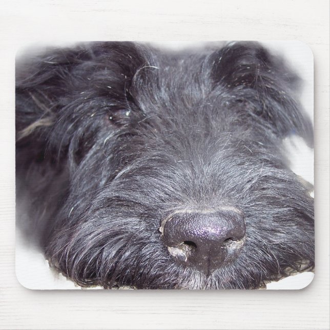 Scottish Terrier Mousepad (Vorne)