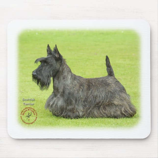 Scottish Terrier Mousepad (Vorne)