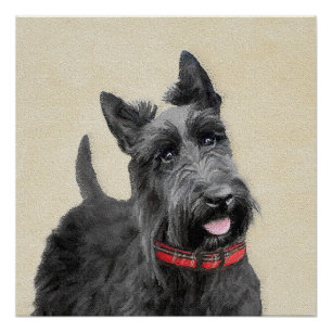 Scottish Terrier Painting - Niedliche Original Dog Poster