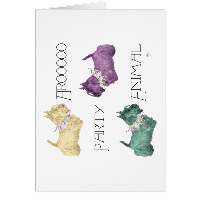 Scottish Terrier Party Animals (Vorne)