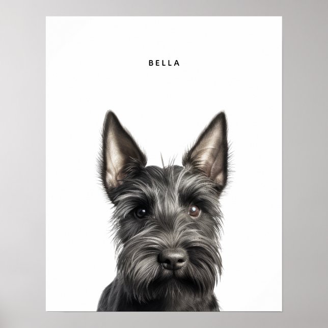 Scottish Terrier Personalisiert Print Poster (Vorne)