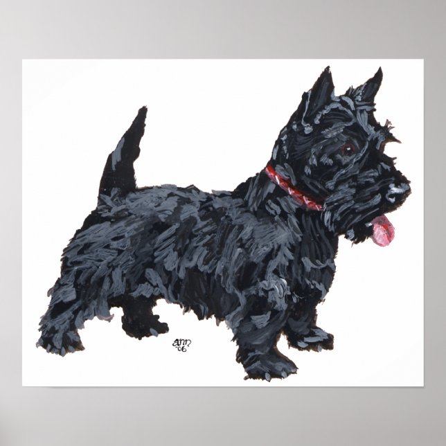 Scottish Terrier Poster (Vorne)