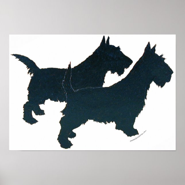 Scottish Terrier Poster (Vorne)