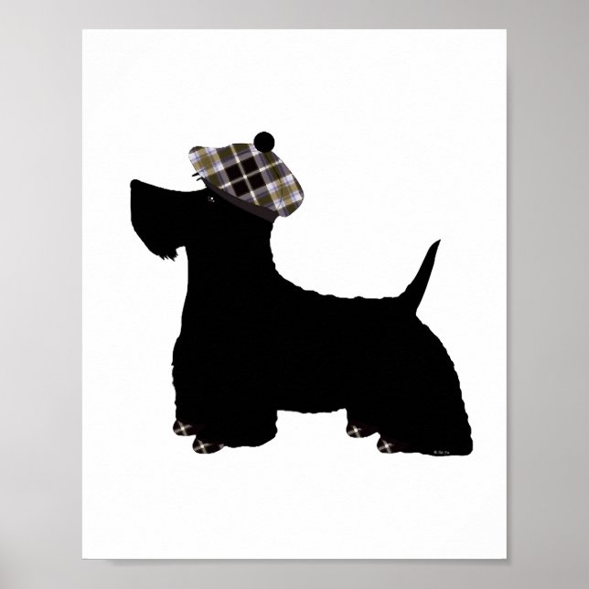 Scottish Terrier Poster (Vorne)