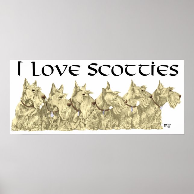 Scottish Terrier Poster (Vorne)