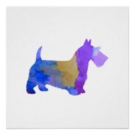 Scottish Terrier Poster