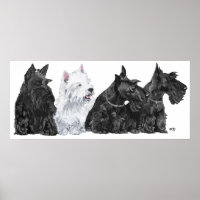 Scottish Terrier Poster