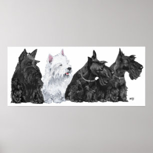 Scottish Terrier Poster