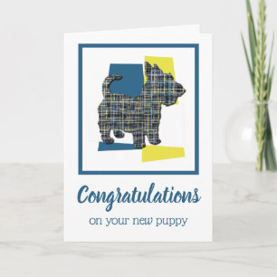 Scottish Terrier Puppy Dog Gratulation Gruß Karte