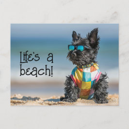 Scottish Terrier Puppy mit Sonnenbrille Postkarte