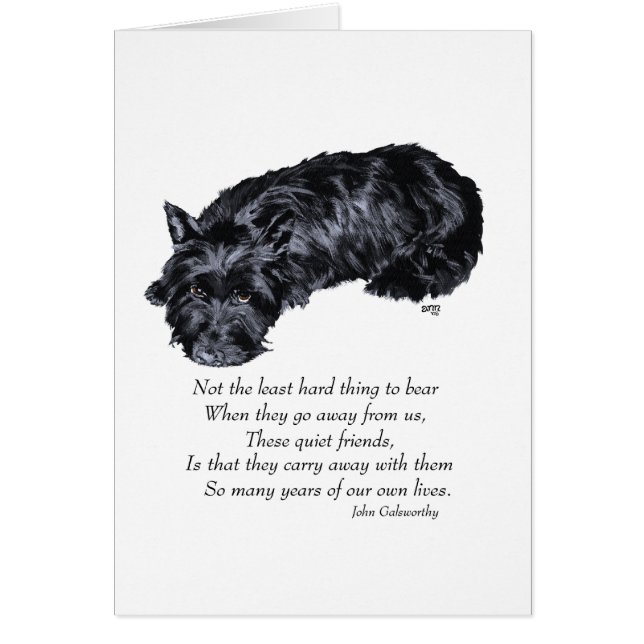 Scottish Terrier Rainbow Bridge (Vorne)