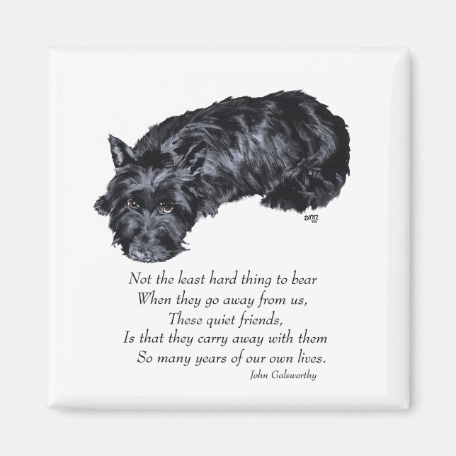 Scottish Terrier Rainbow Bridge Magnet (Vorne)