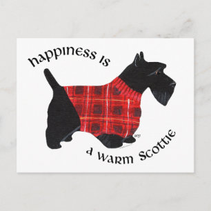 Scottish Terrier Red & Black Kariert Sweater Postkarte
