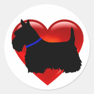Scottish Terrier, Schwarz/Weiß, Kragen Runder Aufkleber