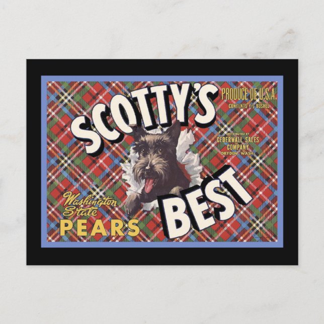 Scottish Terrier Scottys Best Dog Postkarte (Vorderseite)