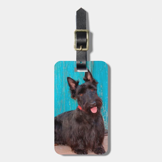 Scottish Terrier sitzt vor einer farbenfrohen Tür Gepäckanhänger (Vorderseite vertikal)