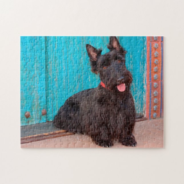 Scottish Terrier sitzt vor einer farbenfrohen Tür Puzzle (Horizontal)