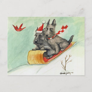 Scottish Terrier Sleigh Ride Postkarte