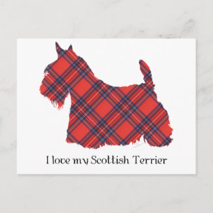 Scottish Terrier Stewart Tartan Postkarte